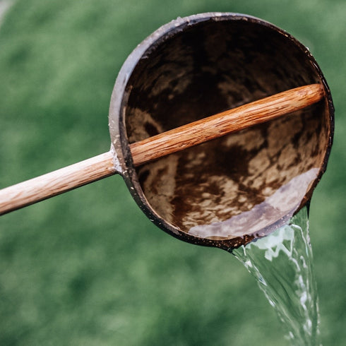 QTOYS - Coconut Water Scoop